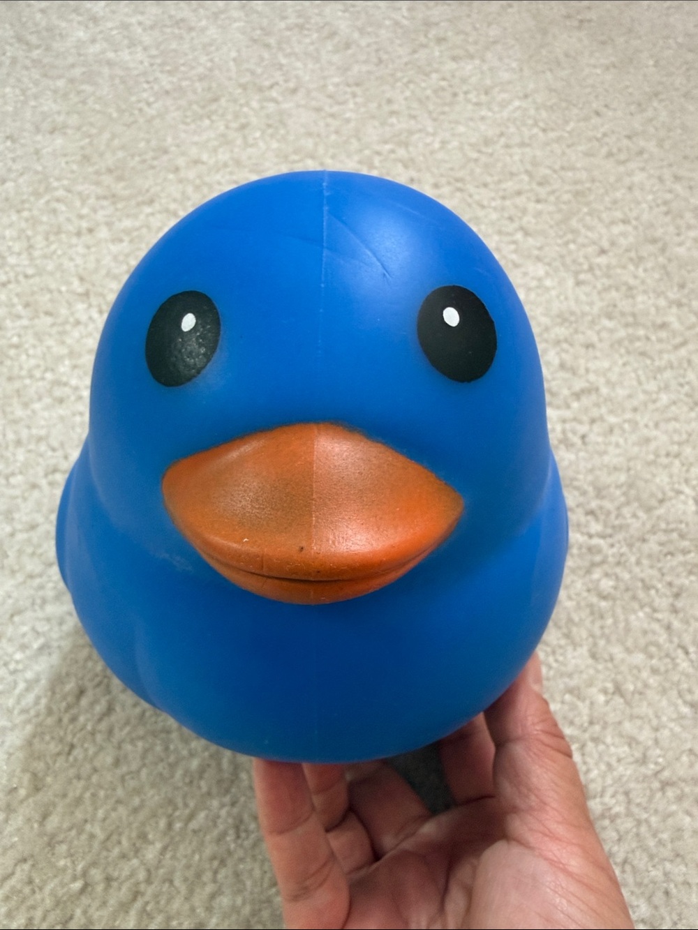 Sunny Days Blue Squishy Duck